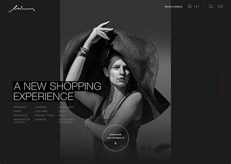 fashion website